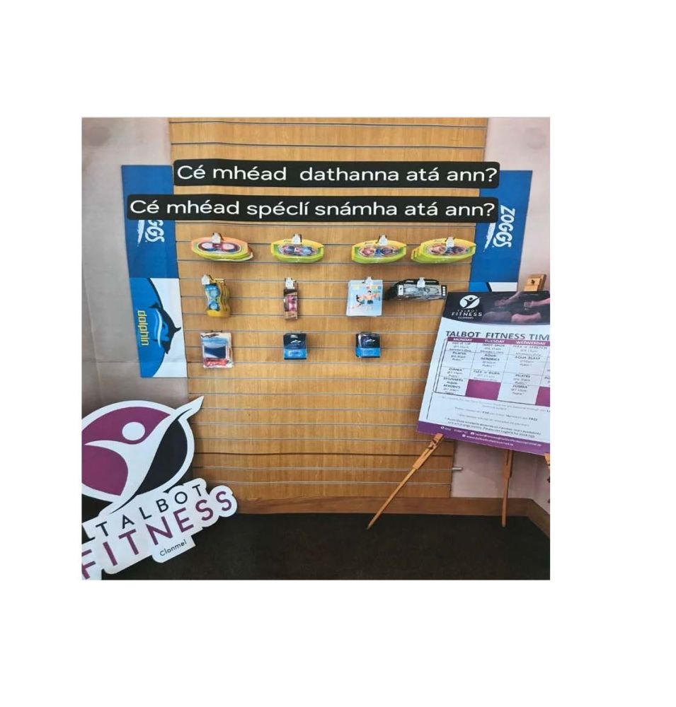 eabha ni chinneide rang a 3 gaelscoil chluain meala