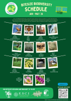 WEBINARS - BITESIZED BIODIVERSITY - Primary and Post Primary CSPE, Science, SPHE, Transition Year